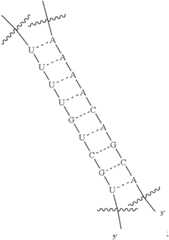 Figure US12338436-20250624-C00430