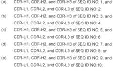 Figure imgf000081_0001