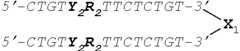 Figure US08202850-20120619-C00029