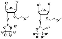 Figure imgf000051_0003