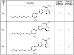 Figure imgf000029_0001