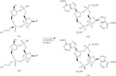 Figure US11098077-20210824-C00259