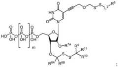 Figure BDA0003670511740002642