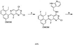 Figure imgf000226_0002