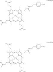 Figure US06582930-20030624-C00017