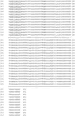 Figure GDA0002870045410001081