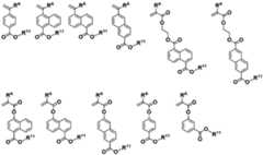 Figure 0007468295000014