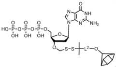 Figure imgf000261_0001