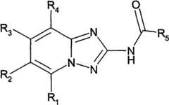 Figure GPA00001035513100011