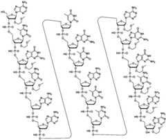 Figure FDA0003319162440000171