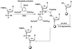 Figure imgf000038_0001