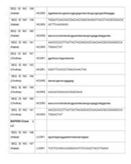 Figure imgf000096_0001