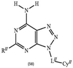 Figure imgf000155_0001
