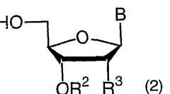 Figure imgf000025_0001
