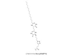 Figure 0007704732000173