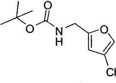 Figure BPA00001327974200862