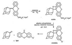 Figure imgf000012_0001