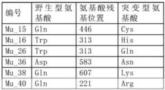 Figure BDA0002777143650000051