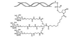 Figure 110113584-A0305-02-1003-3