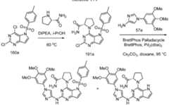 Figure imgf000283_0001