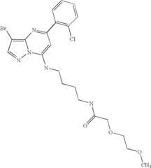 Figure US07119200-20061010-C03171
