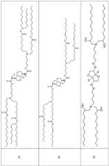 Figure imgf000104_0001