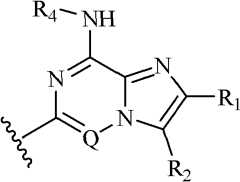 Figure FDA0000051855280000021