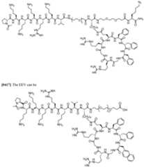 Figure imgf000154_0001