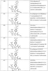 Figure imgf000176_0001