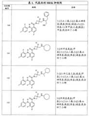 Figure G2007800513551D01241