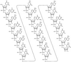 Figure imgf000125_0001