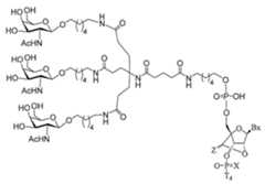 Figure 2023012548000403