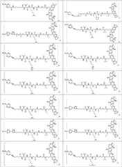 Figure PCTCN2022073822-appb-100119