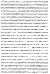 Figure 104109152-A0202-12-0089-21