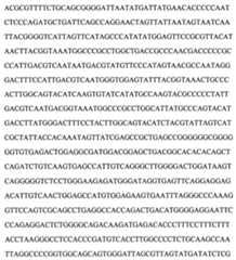 Figure 104109152-A0202-12-0120-84