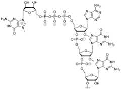 Figure imgf000071_0001