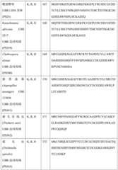 Figure BDA0004113681710000641