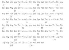 Figure 109115264-A0305-02-0238-95