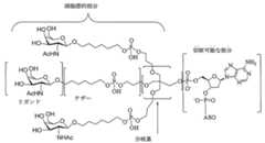 Figure 2023113843000008