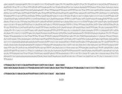 Figure imgf000105_0002