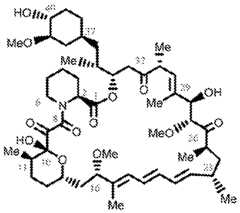 Figure imgf000009_0001