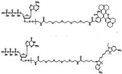 Figure imgf000388_0001