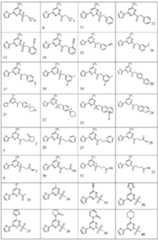 Figure 0006990229000013