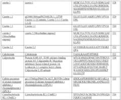 Figure imgf000111_0001