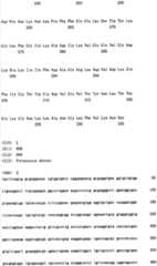 Figure IPA00001577376600031