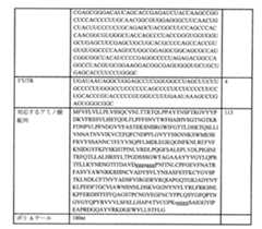 Figure 0007438604000113