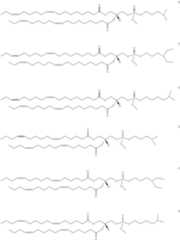 Figure US12077725-20240903-C00009