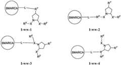 Figure BDA0003783300830001163