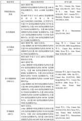 Figure BDA0003145918540000491