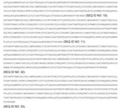 Figure imgf000163_0001